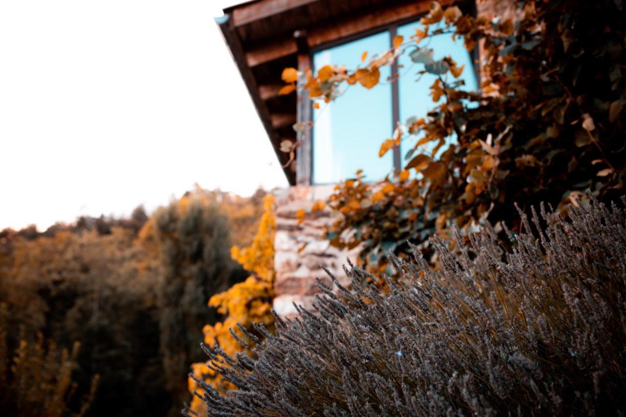 Maison D'Hotes Le Hameau De La Mure Saint-Laurent-du-Pape Exteriör bild