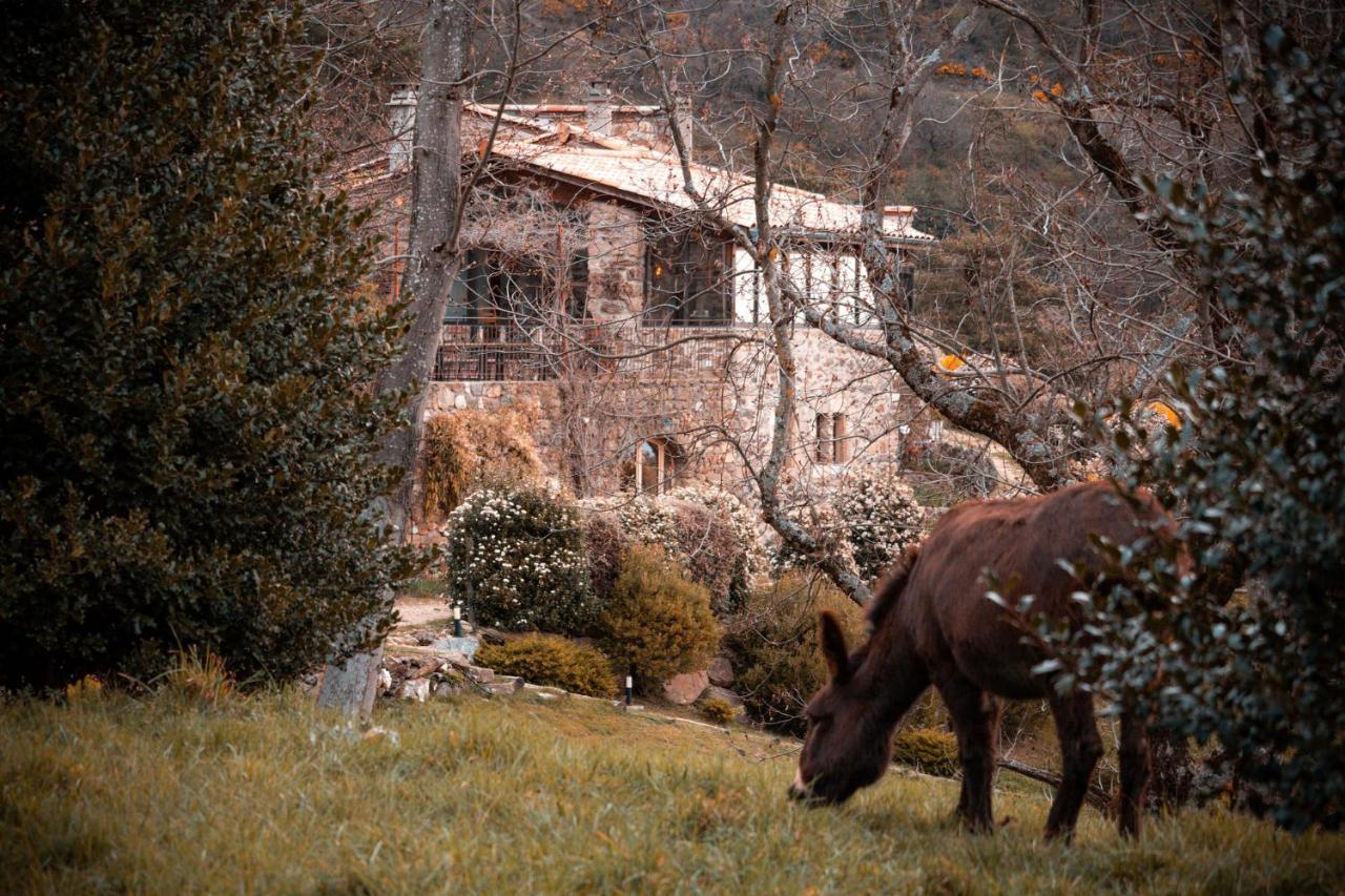 Maison D'Hotes Le Hameau De La Mure Saint-Laurent-du-Pape Exteriör bild